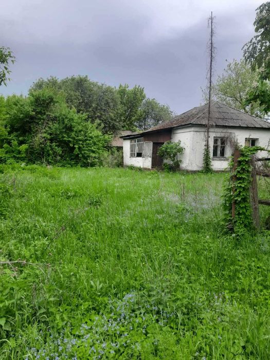 Продаж будинку та земельної ділянки