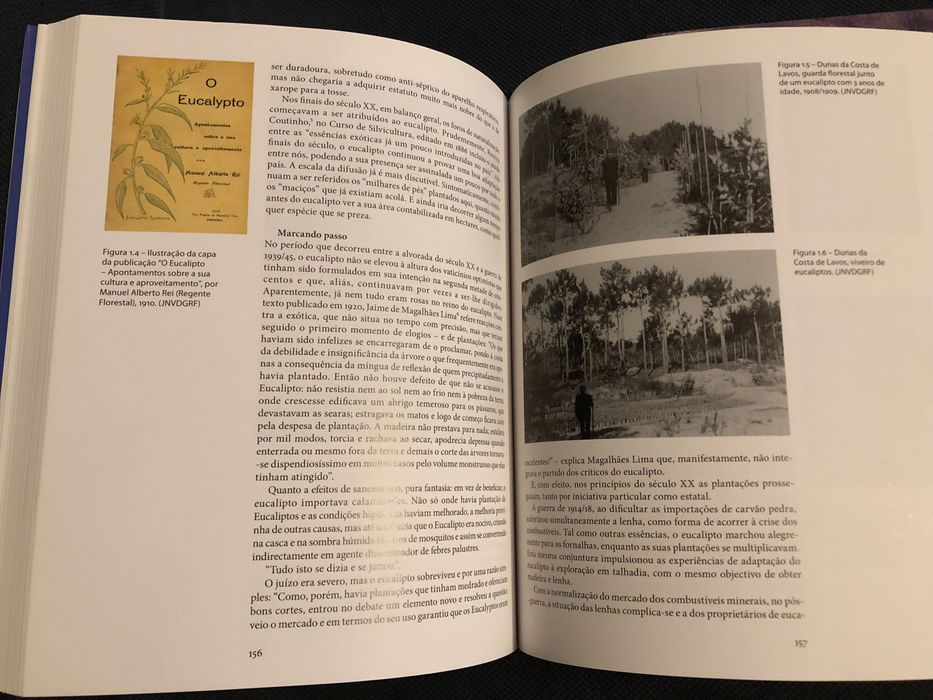 Árvores e Florestas: Pinhais e Eucaliptais / Proteger a Floresta