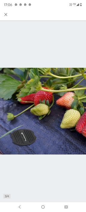 Krążki buforowe do kotwy ogrodowej