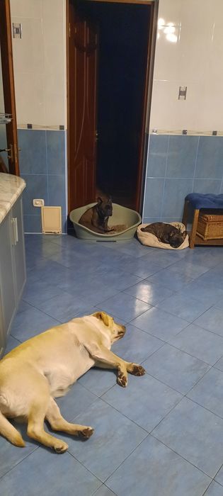 Перетримка ( перевезення по Україні )