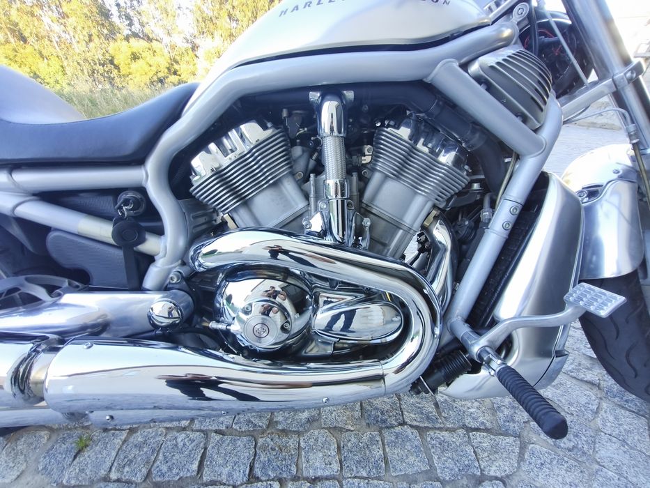 Harley Davidson VRod Vrsca