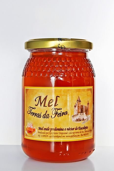 Frasco de mel - mel terras da feira 500gr
