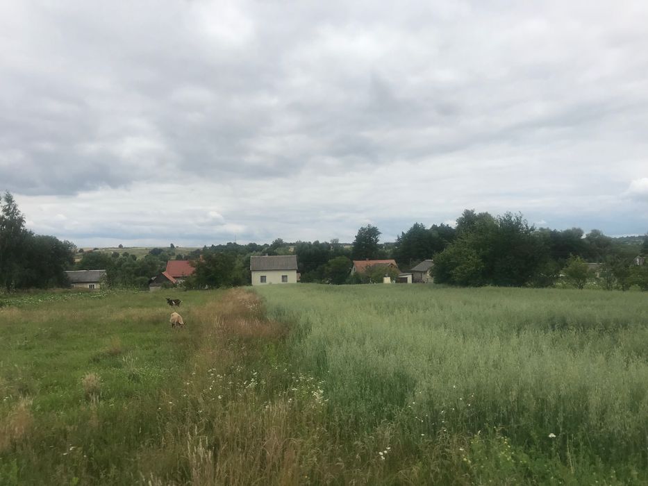 Продаж ділянки у Хоросно (ОСГ)