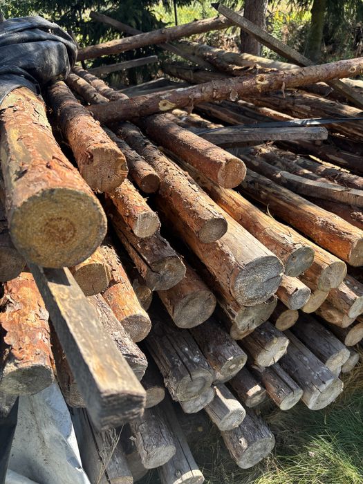 Steple budowalne drewniane suszone 310cm