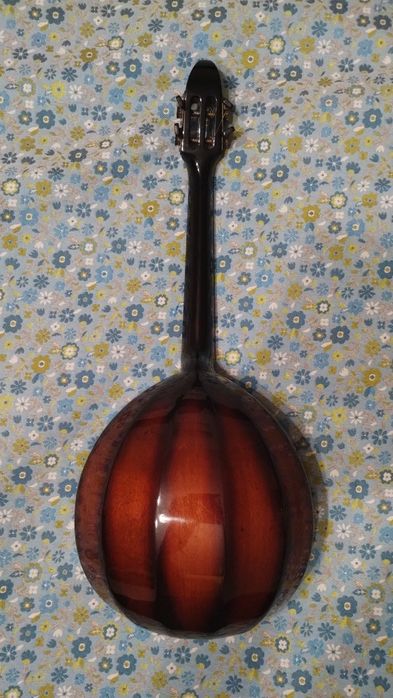 Майстрова домра прима