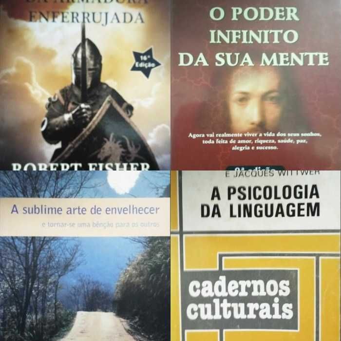 Livros diversos Sortidos Pack 100 unidades