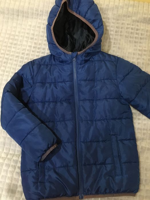 Кутка синя на весняна осіння