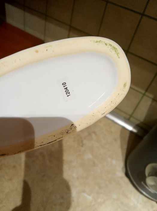 piękny biały wazon z liśćmi kolekcja