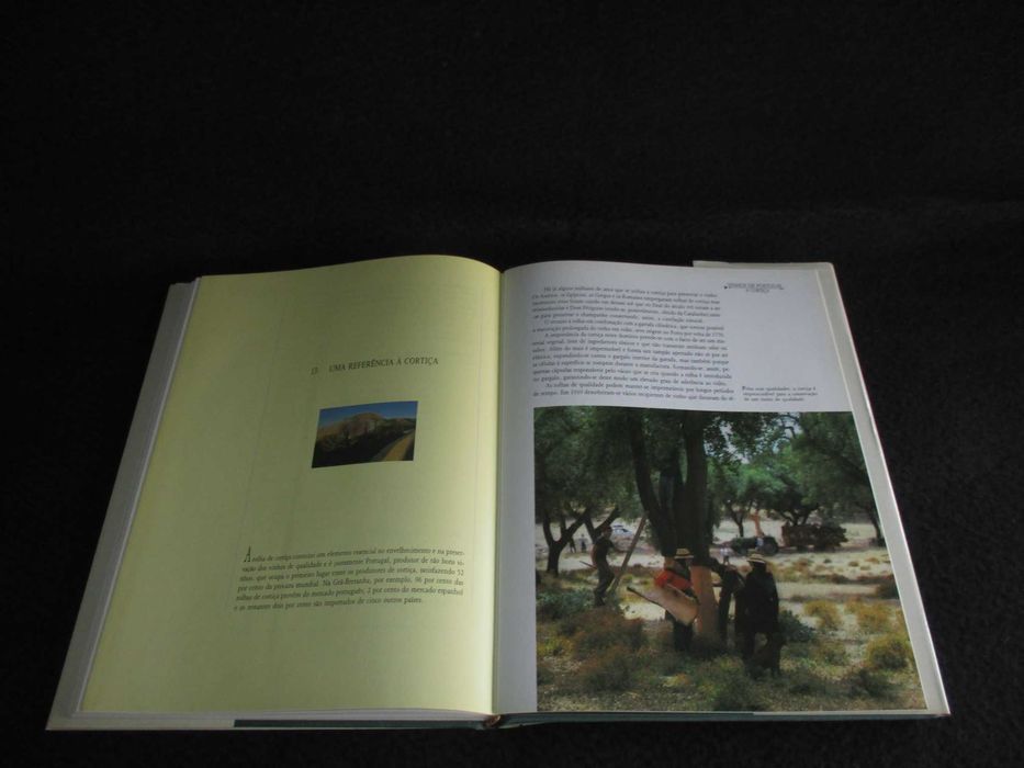 Livro Vinhos de Portugal Jan Read