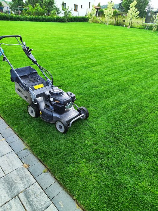 Usługi ogrodnicze aeracja nawadnianie wertykulacja piaskowanie