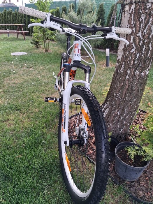 Scott contessa 30