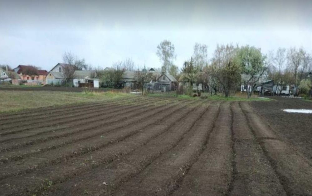 Земельна ділянка , 8 соток для городу, м.Хорол