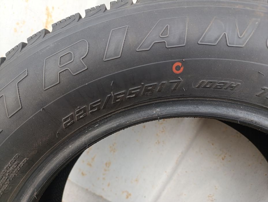 Шини зима  Triangle l 225/65 R17 Snow Lion TR777