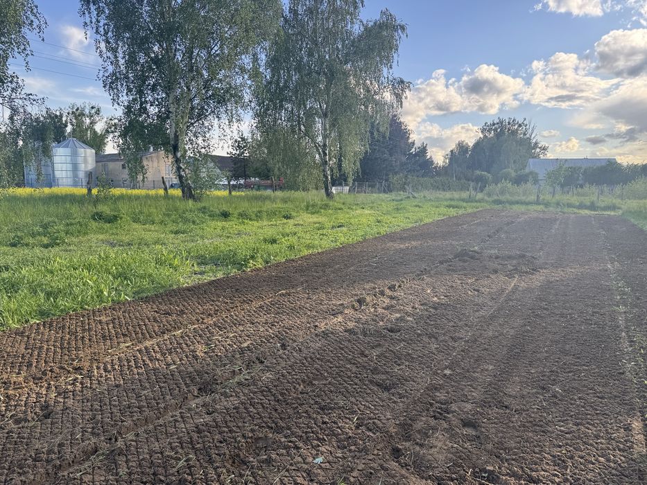 Usługi glebogryzarka separacyjną oraz inne usługi mini ładowarka