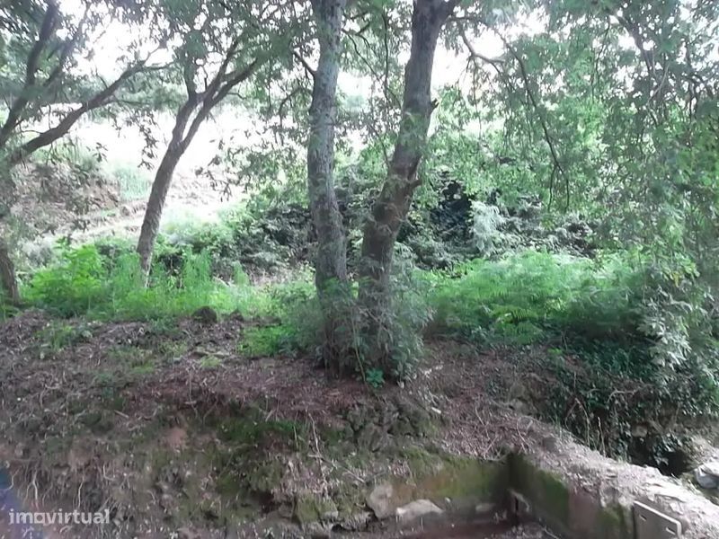 Terreno rústico na Vila de Cucujães, Oliveira de Azeméis