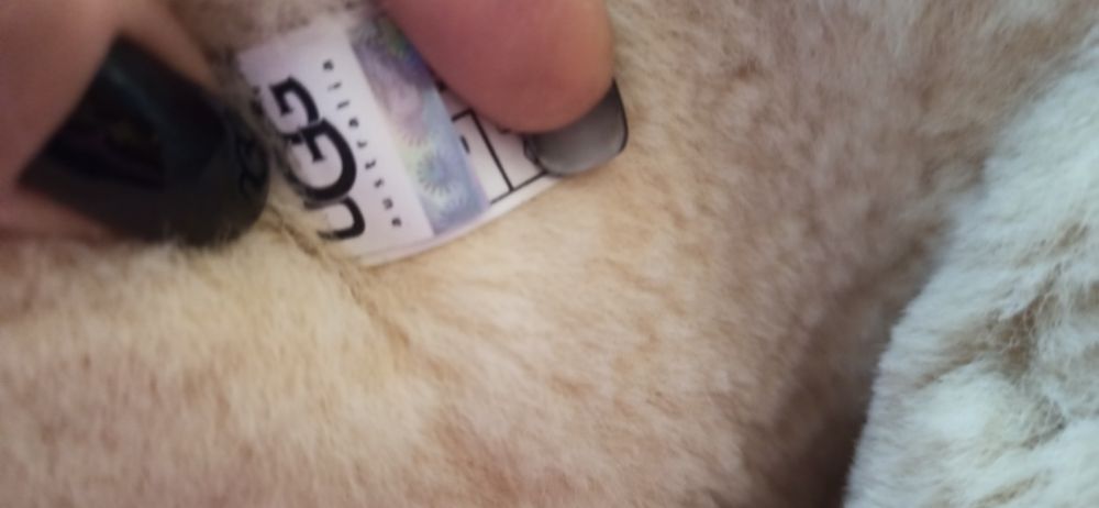 Угги оригинальные Ugg