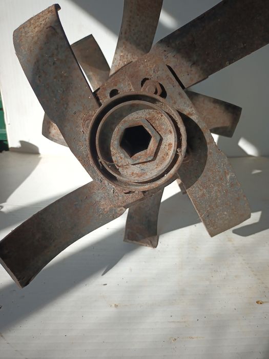 Vendo este conjunto de freses