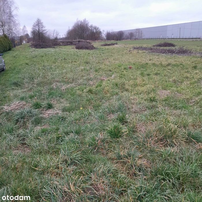 Działki w Malawie z WZ