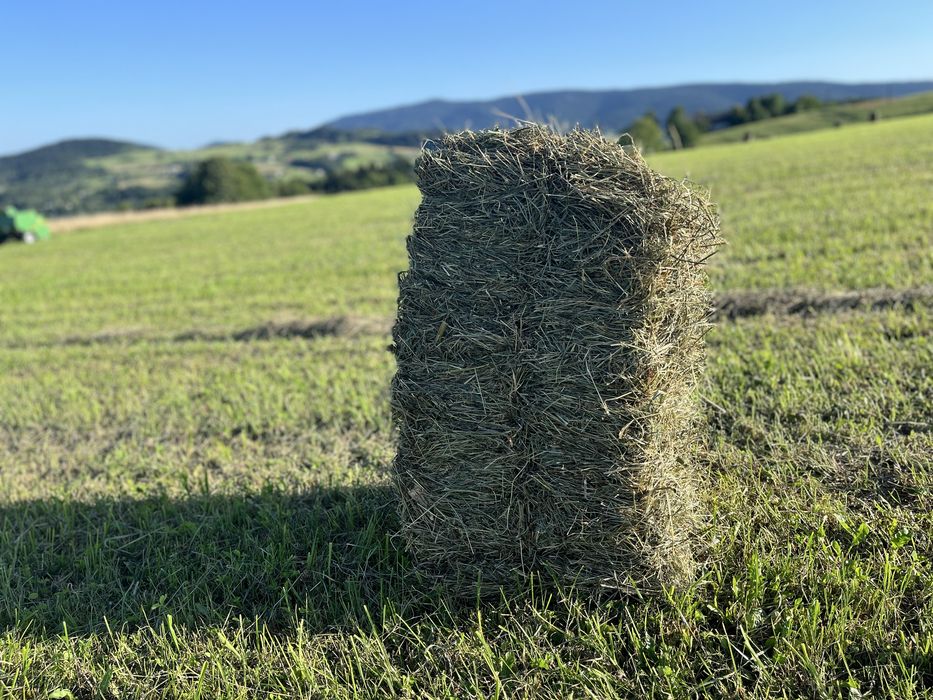Kostki bardzo ładengo siana z 1 pokosu