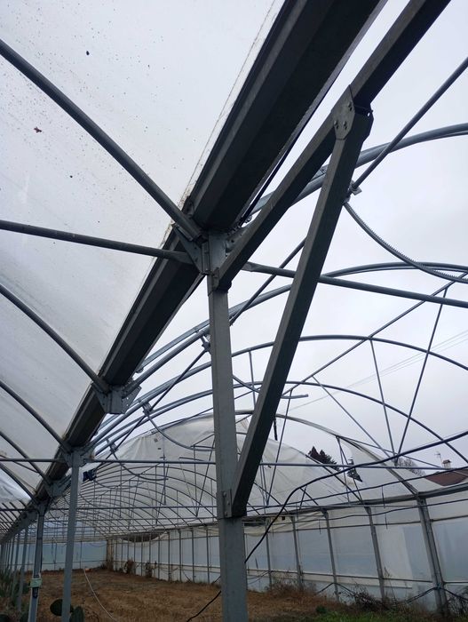 Estufa agrícola com 2100m2
