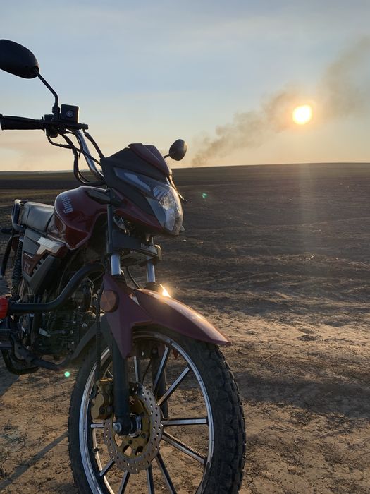 Мустанг фіт 2 2024