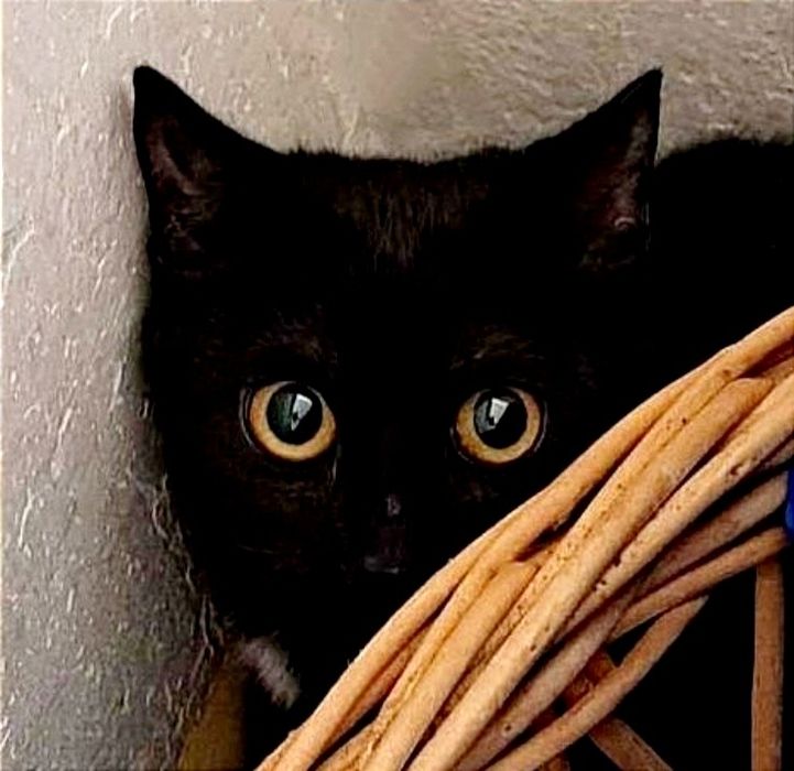 Maluchy. Chłopczyk i dziewczynka.