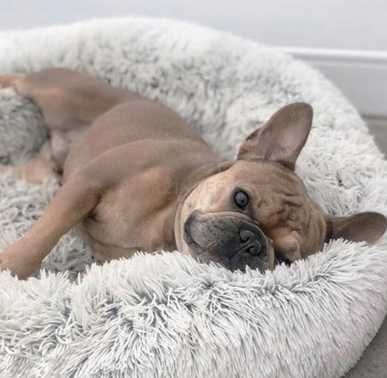 Miękkie legowisko dla psa i kota 80 cm