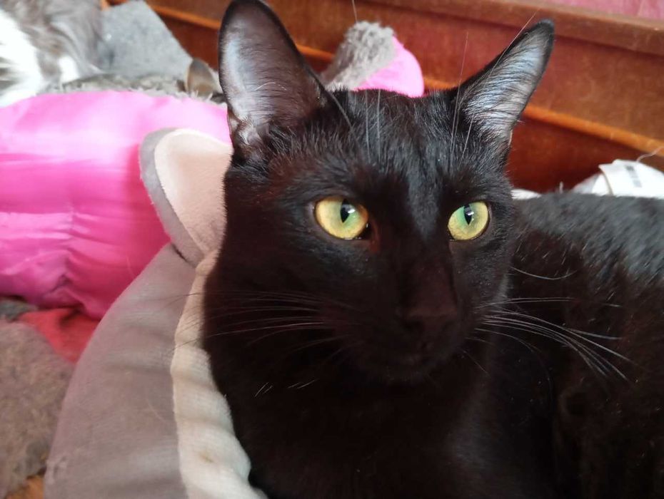 Марк шукає родину