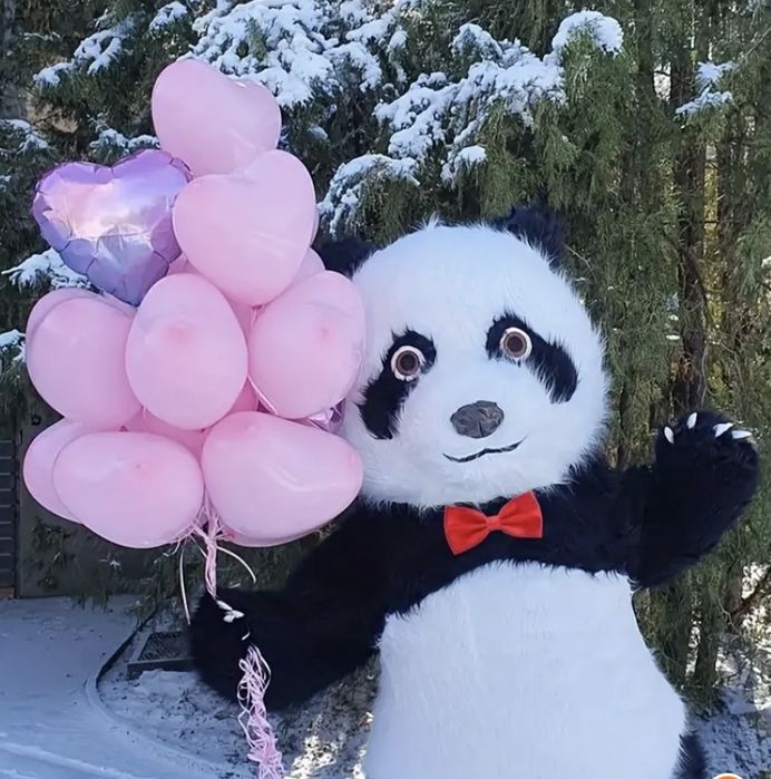 Miś Panda Show żywa maskotka! Atrakcja na urodziny, komunie, wesela