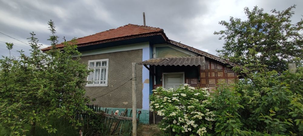 Будинок Мошанець