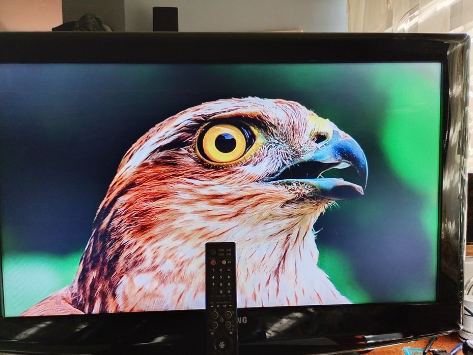 Tv Gangchiong 32