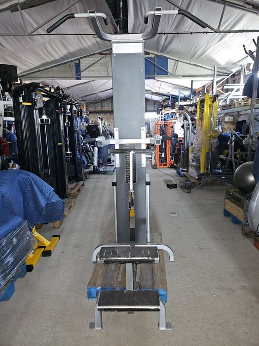 Asystent podciągania Chin Dip Cybex