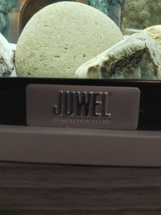 Аквариум "JUWEL"
