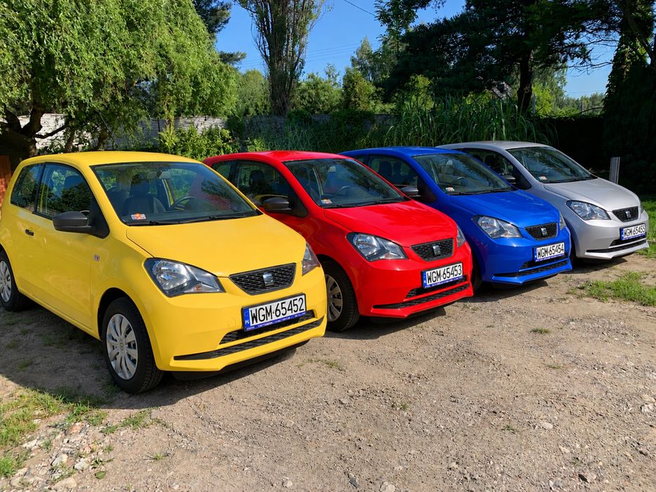 Wypożyczalnia samochodów. Auta osobowe oraz busy dostawcze. Wynajem.