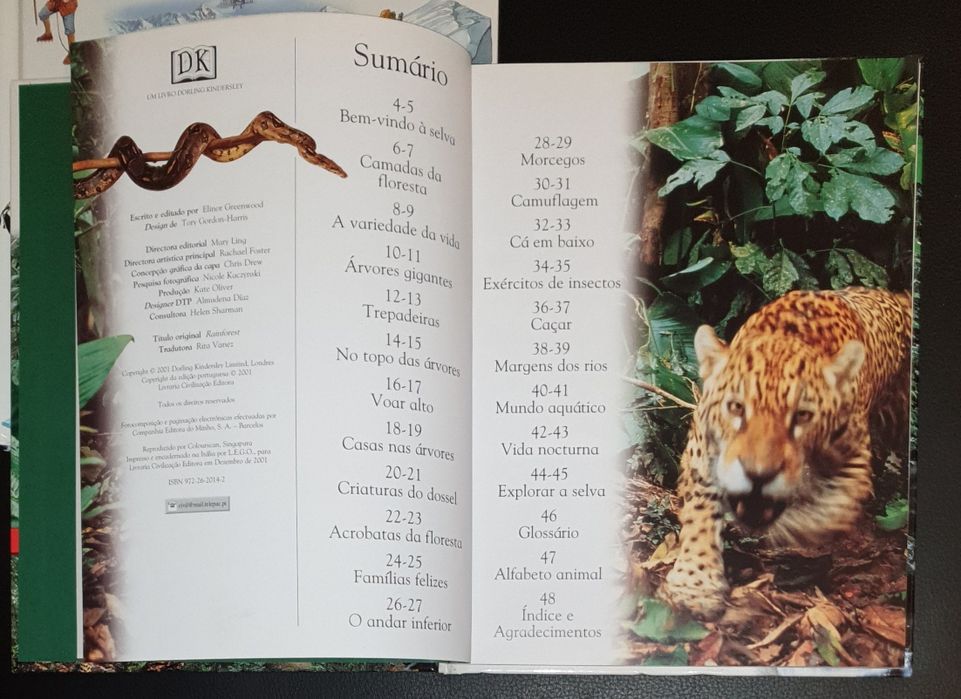 Floresta Tropical D.  Quixote mancha  Miguel Cervantes  Edinter