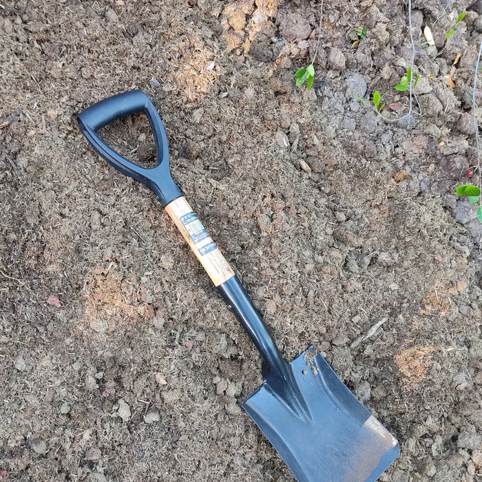 Estrume de cavalo selecionado/limpo