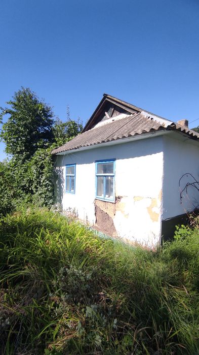 Продам 2 будинки в селі Клекотина 8808