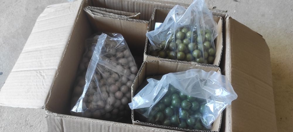 Paintball pack/Marcador + botija, loader e 1500bolas