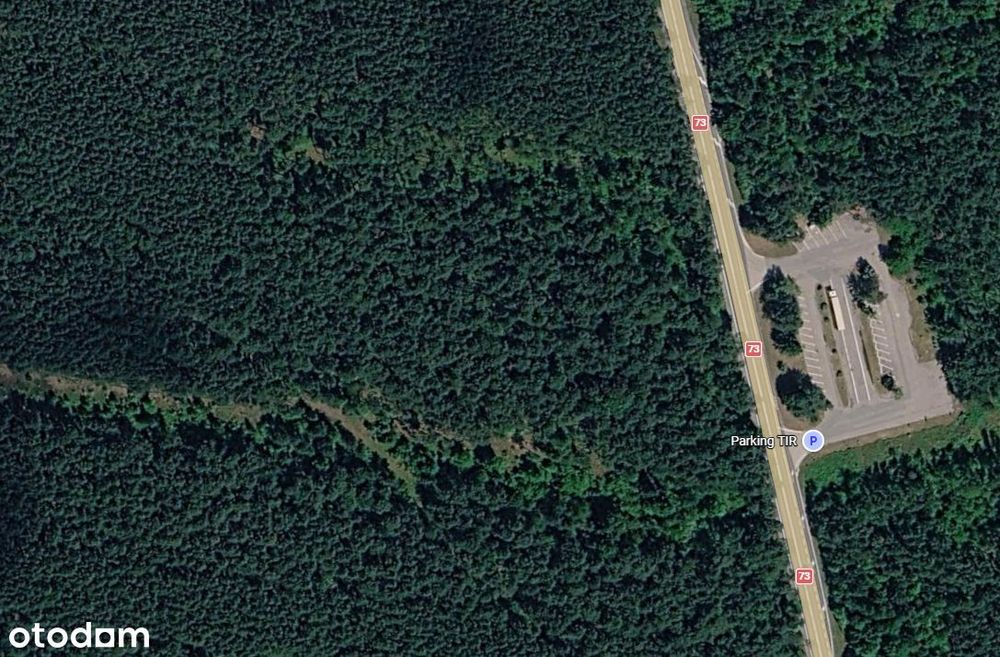 LAS gmina Morawica/Lisów