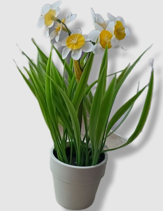 Sztuczny kwiat Narcyz Biały Źonkil w doniczce wiosenna dekoracja 20cm