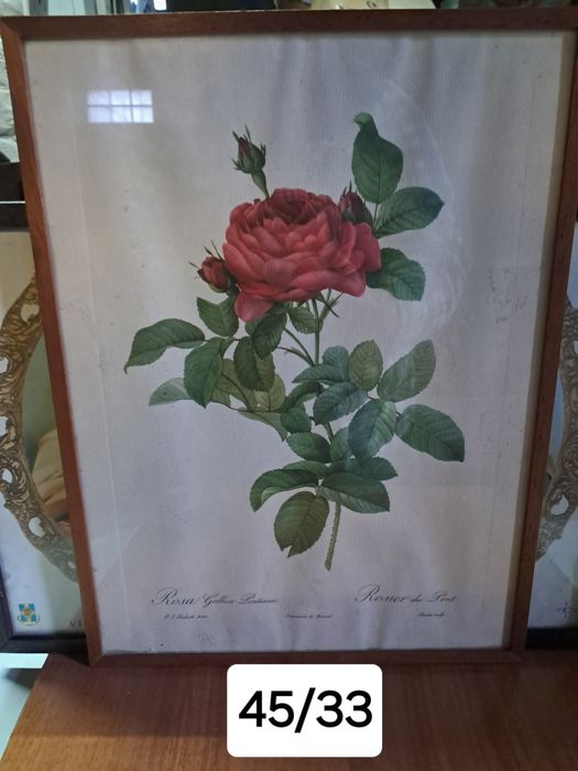 Quadro Rosa vintage