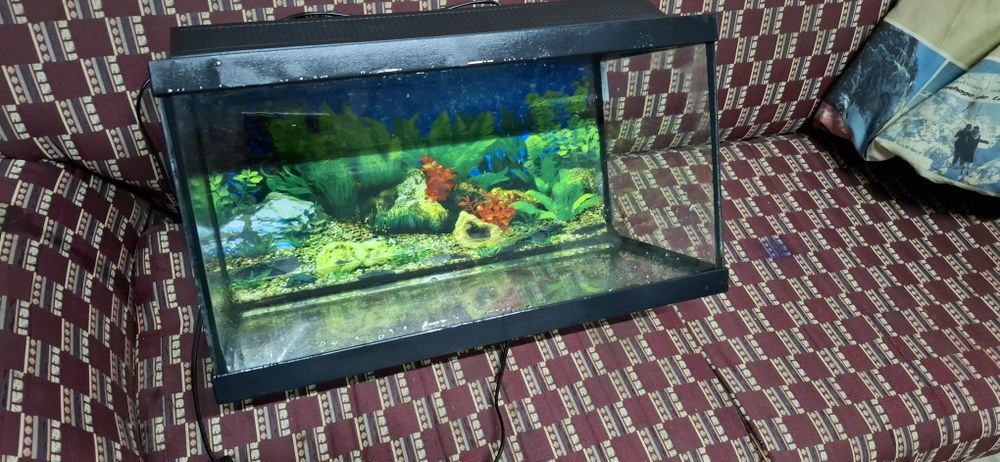 Vendo aquário 50cmx30cmx25cm