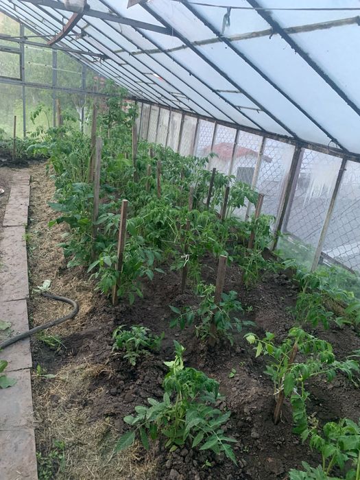 Огород для вирощування