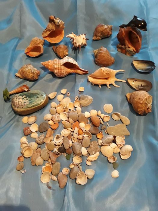 Морские ракушки и камешки для декора