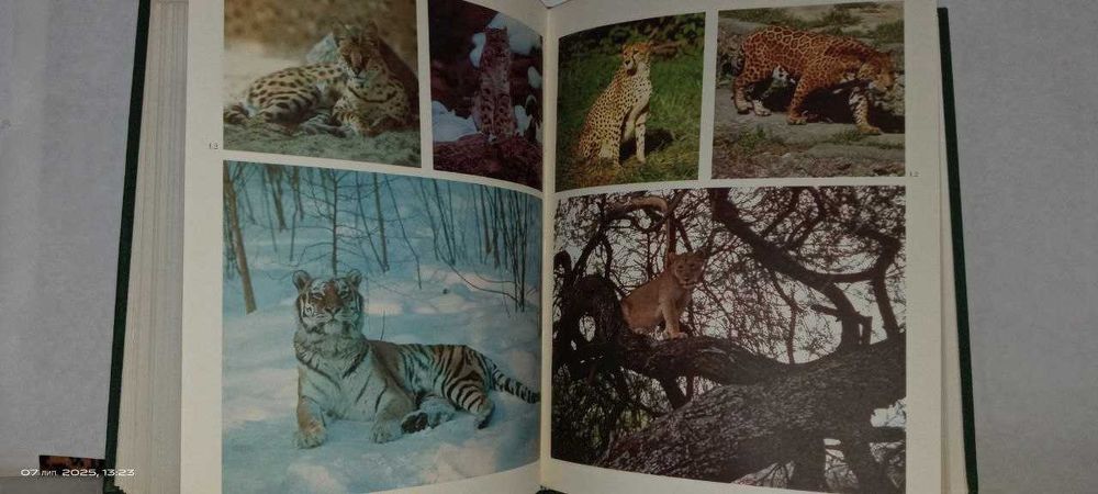 Жизнь животных в 7-ми томах