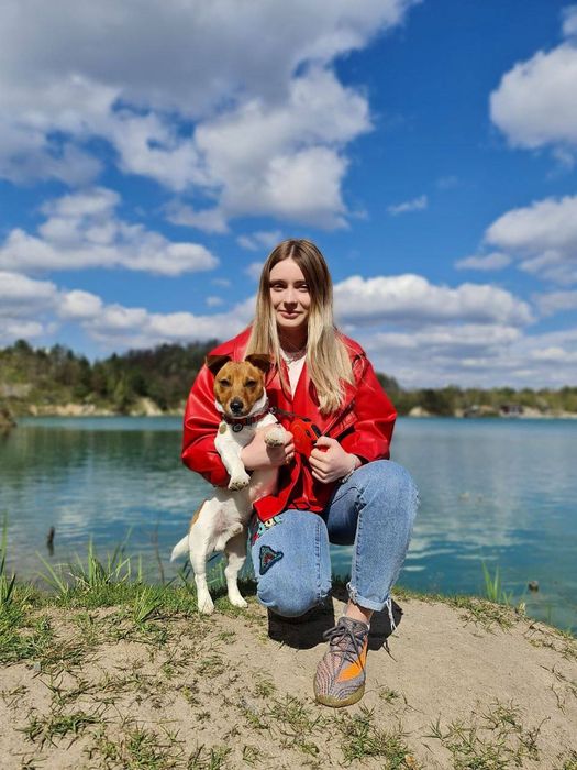 Джек Рассел терʼер  Вʼязка