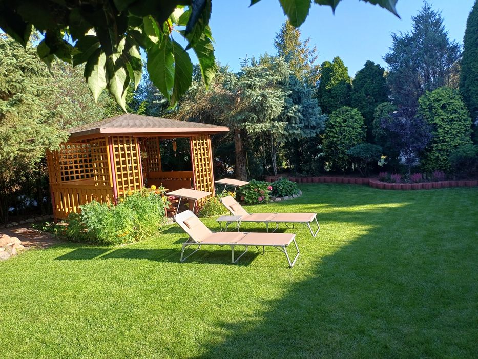 Sprzedaż działka ROD Wudzyn Międzylesie-Zachód