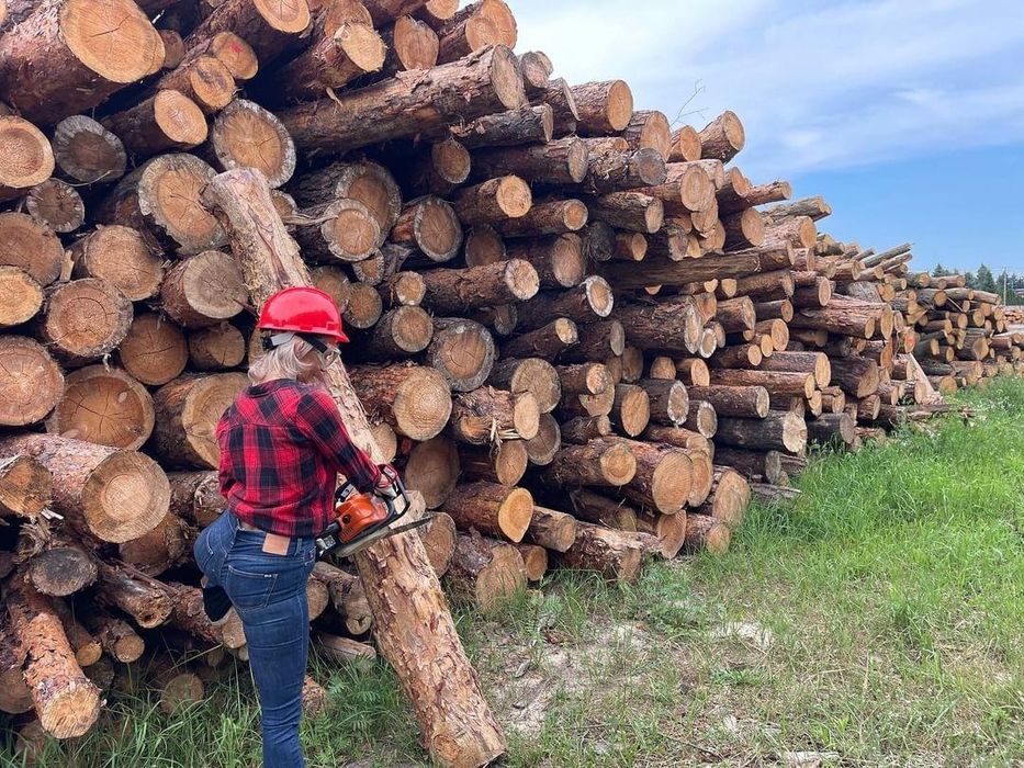 SUCHE Drewno kominkowe opałowe Łęczyca Witonia Daszyna Leźnica Sierpów