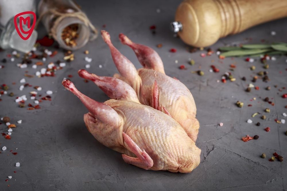 Домашнє Мясо перепілки