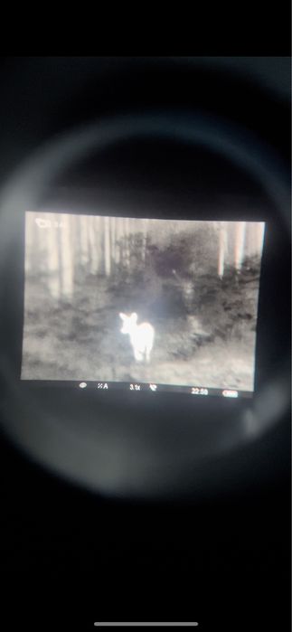 Monóculo Térmico Pulsar Helion XQ38F